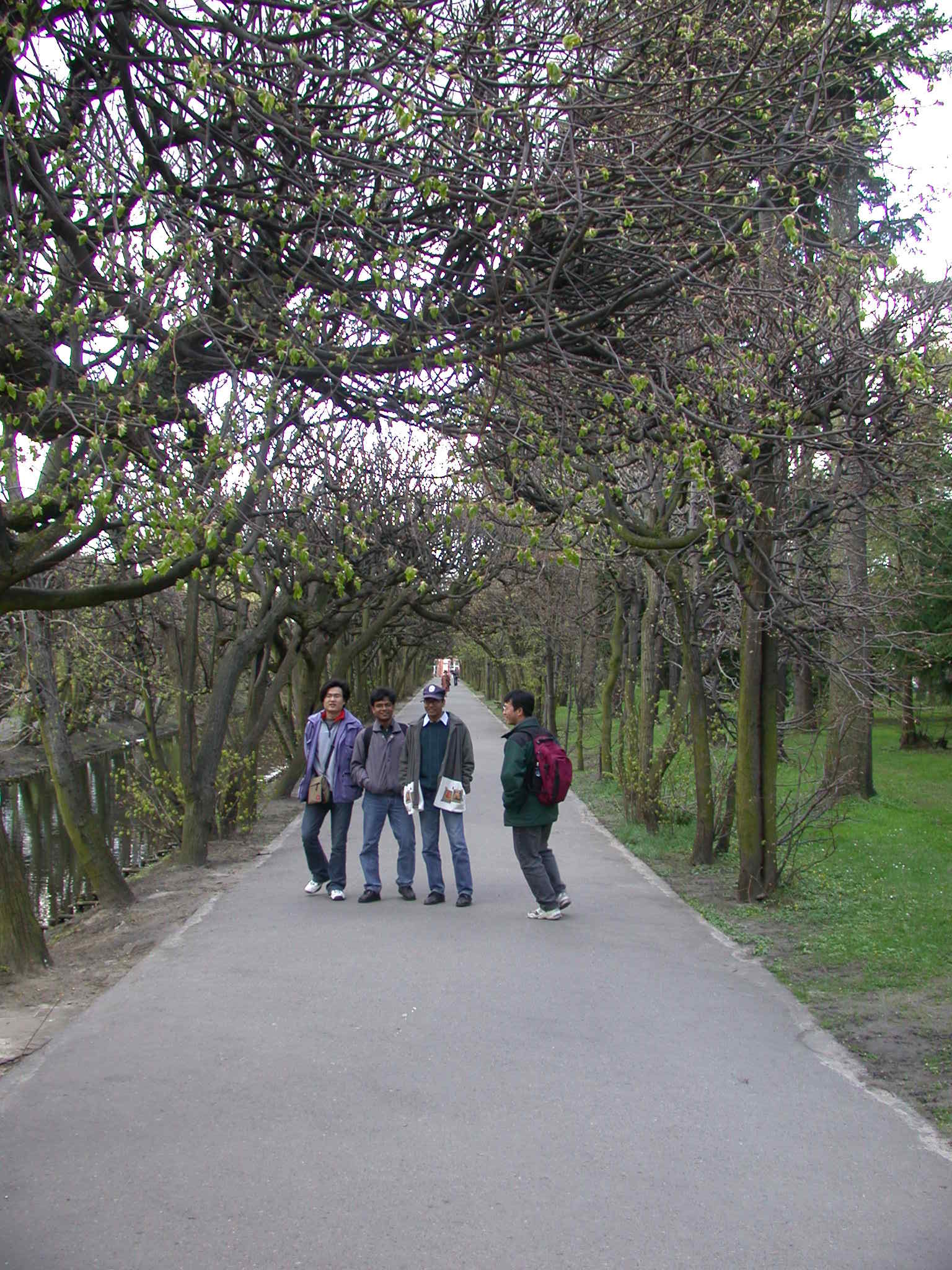 park