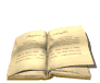 Study